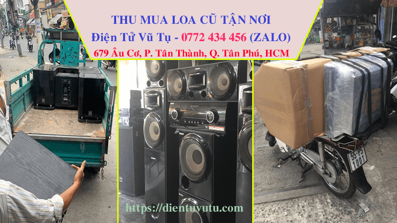 Điện Tử Vũ Tụ