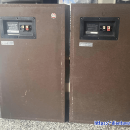 Loa DIATONE DS-28b cu gia re tphcm 1