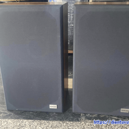 Loa DIATONE DS-28b cu gia re tphcm 4