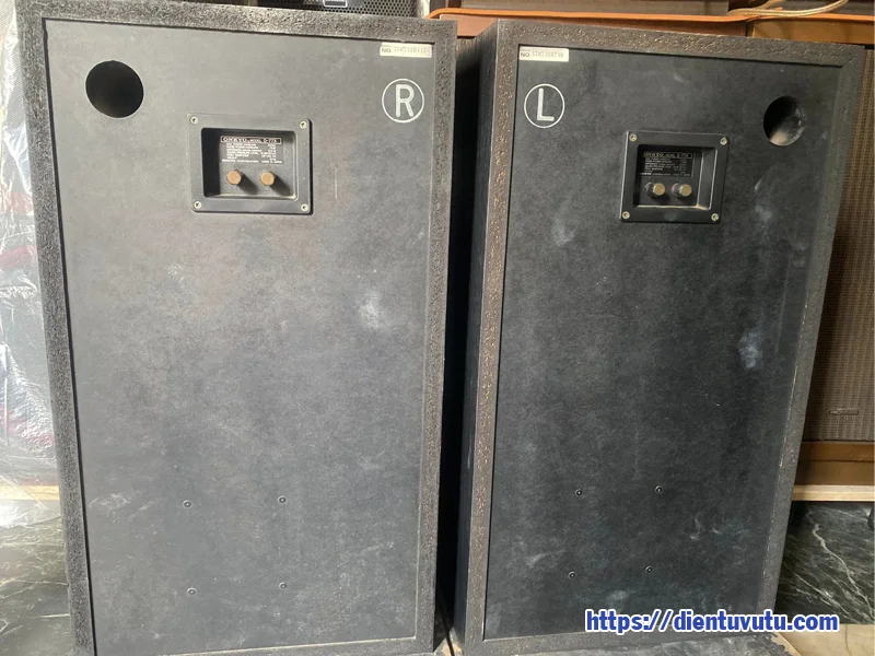 Điện Tử Vũ Tụ
