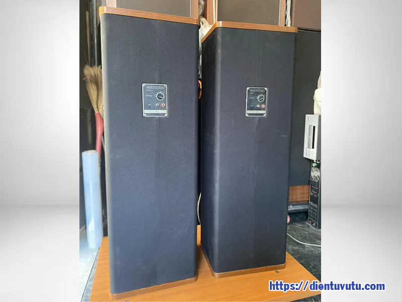 Điện Tử Vũ Tụ