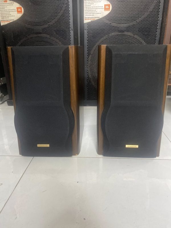 Điện Tử Vũ Tụ